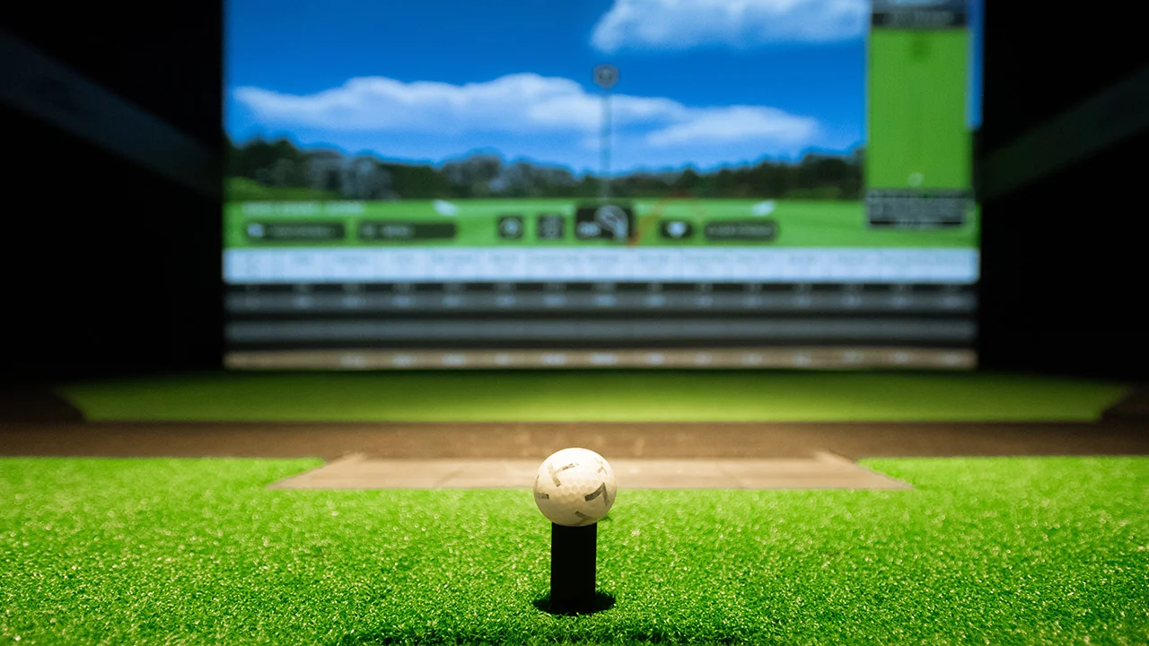 Elite Screens GolfSim In Use - Projector Reviews - Image